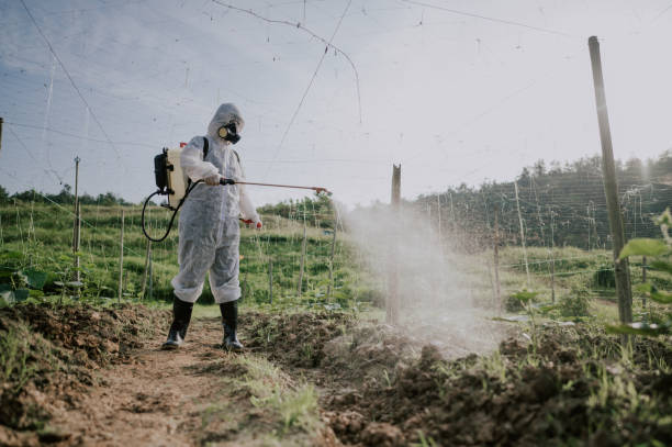 Best Affordable Pest Control Services  in Wollochet, WA