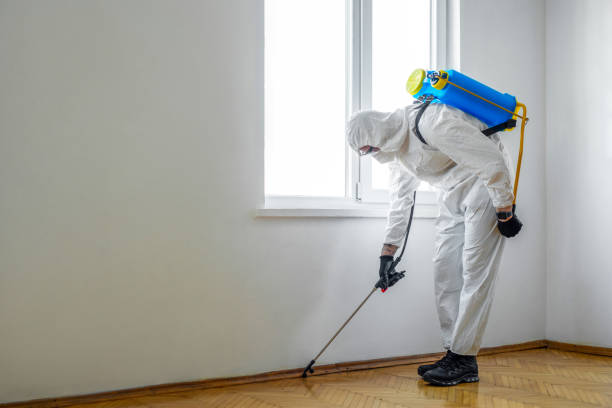 Best Mosquito Control Services  in Wollochet, WA