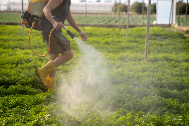 Best Commercial Pest Control Services  in Wollochet, WA