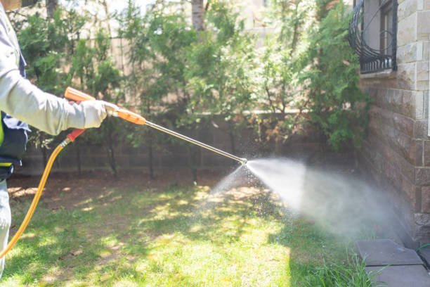 Best Emergency Pest Control  in Wollochet, WA