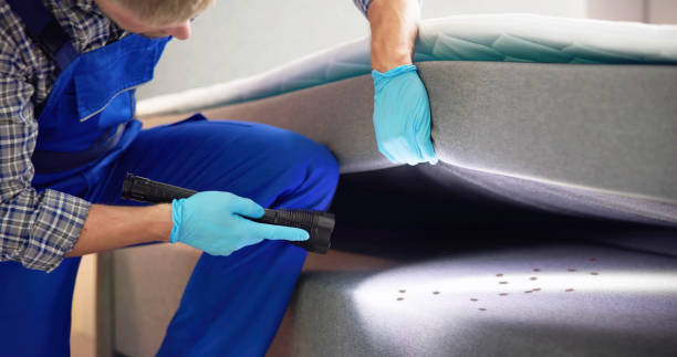 Best Affordable Pest Control Services  in Wollochet, WA