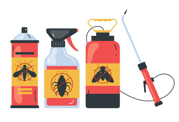 Best Spider Control Near Me  in Wollochet, WA