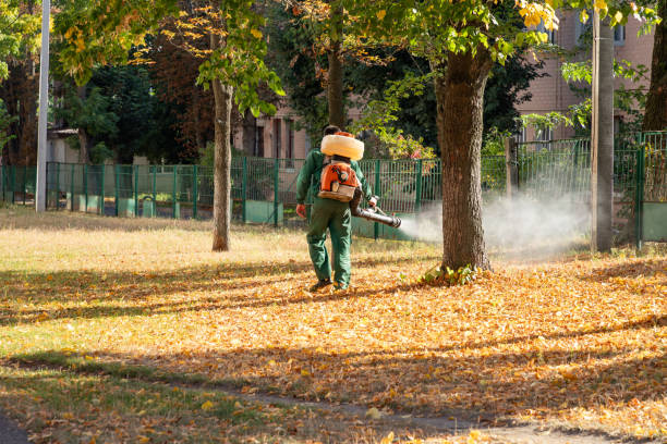 Pest Control for Restaurants in Wollochet, WA