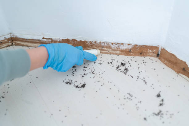 Best Commercial Pest Control Services  in Wollochet, WA